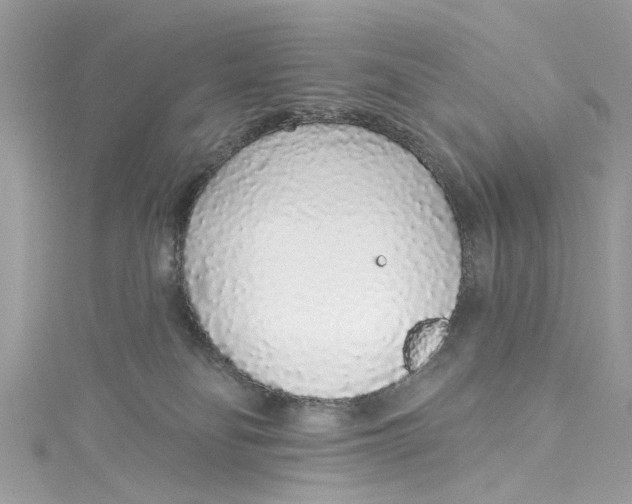 X0000115160134200911171309