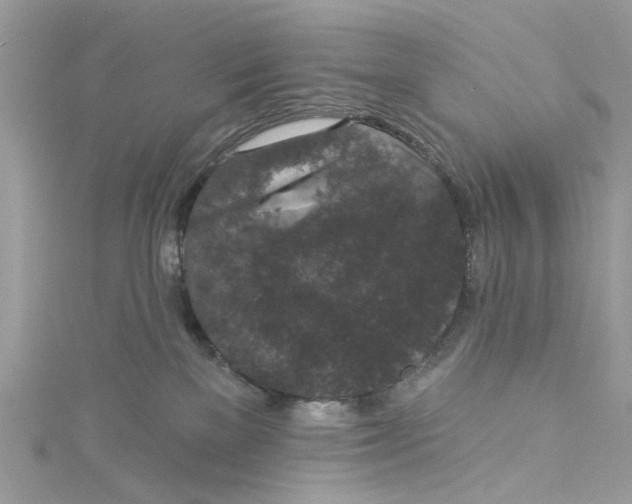 X0000115160137200911171309