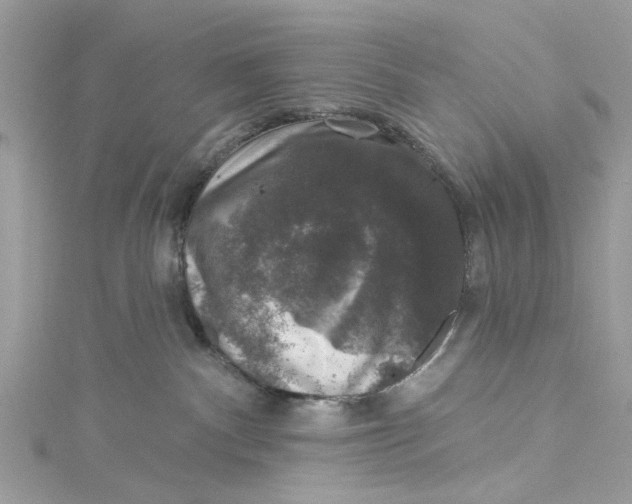 X0000115160140200911171309