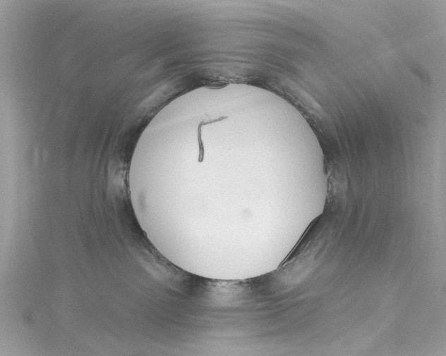 X0000115160141200911171309