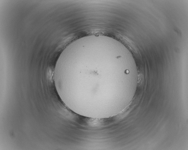 X0000115160142200911171309