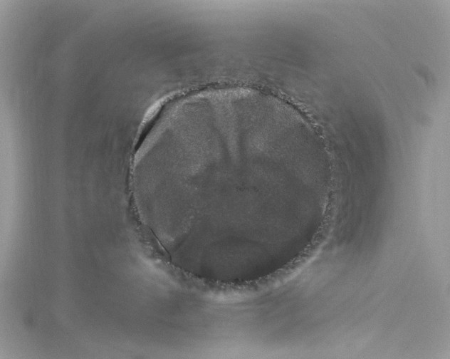 X0000115160144200911171309