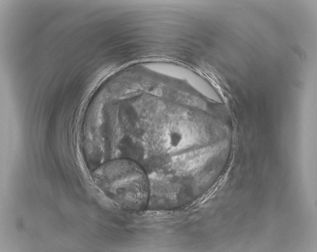 X0000115160145200911171308