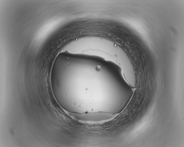 X0000115160146200911171308