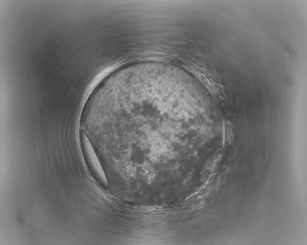 X0000115160147200911171308