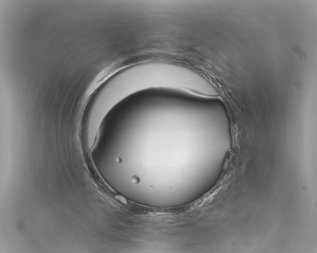 X0000115160150200911171308