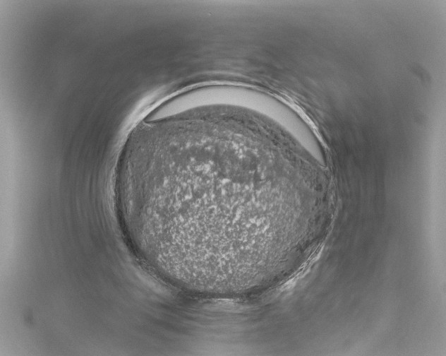 X0000115160151200911171308