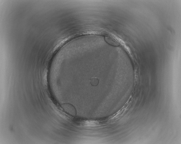 X0000115160154200911171309