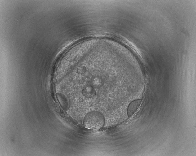 X0000115160155200911171309