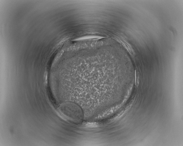 X0000115160157200911171309