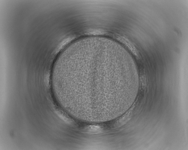 X0000115160159200911171309