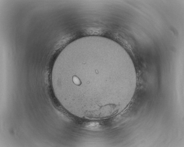 X0000115160162200911171309