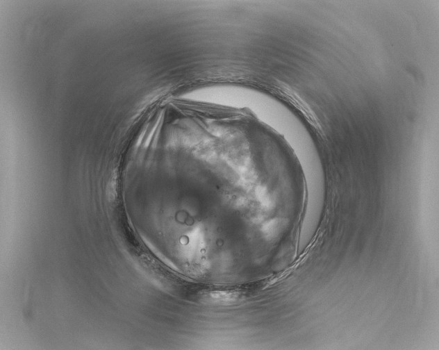 X0000115160163200911171309