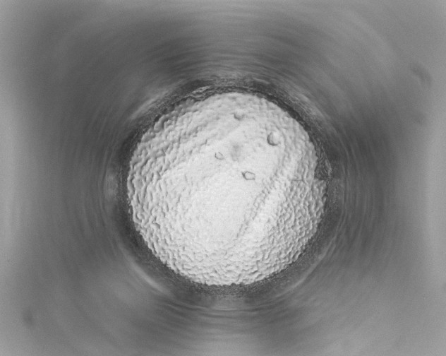 X0000115160165200911171309