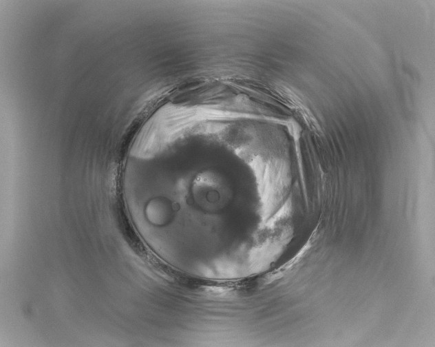 X0000115160167200911171309