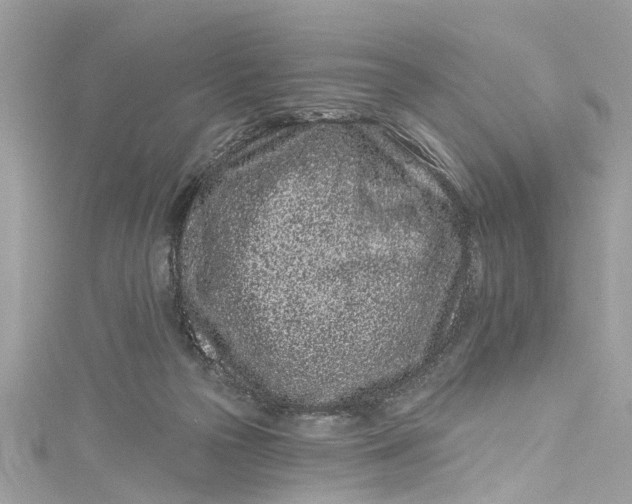 X0000115160169200911171309