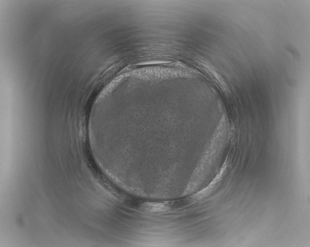 X0000115160170200911171309