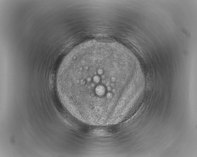 X0000115160171200911171309