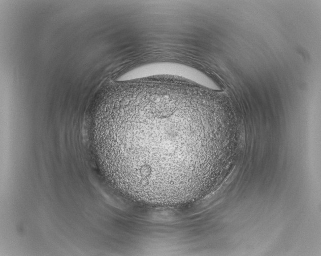 X0000115160175200911171309