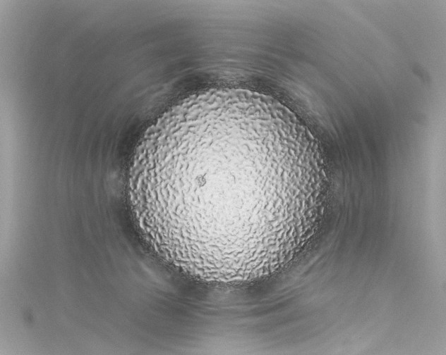 X0000115160177200911171309