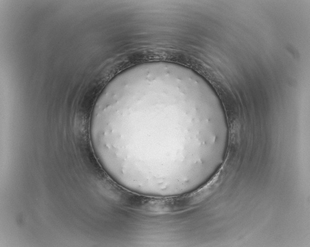 X0000115160178200911171309