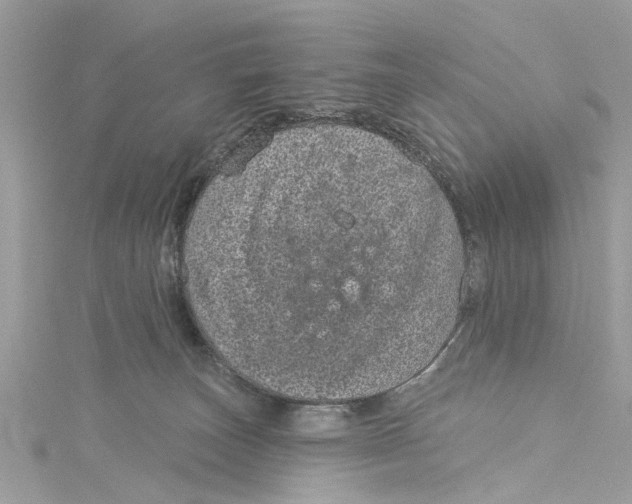 X0000115160179200911171309