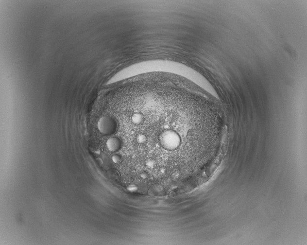 X0000115160182200911171309