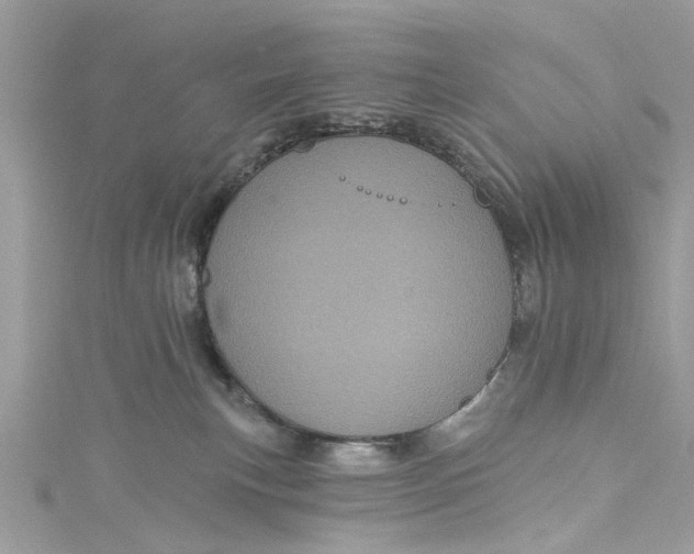 X0000115160183200911171309