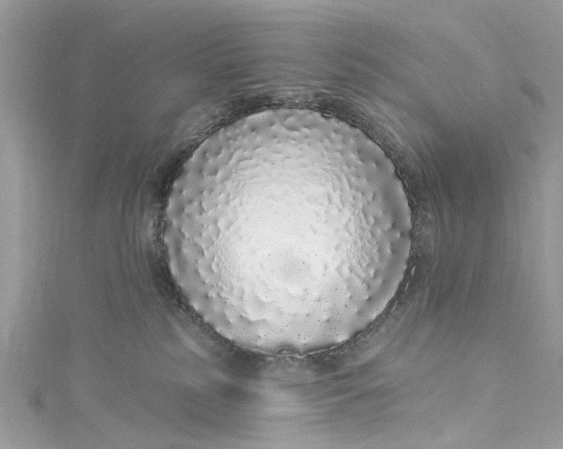 X0000115160185200911171309