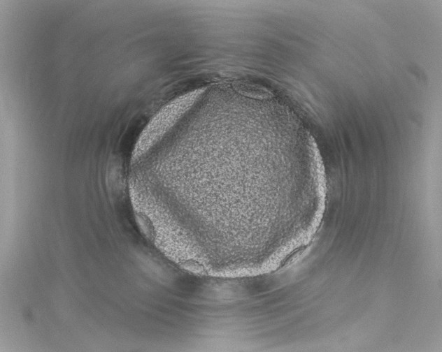 X0000115160186200911171309