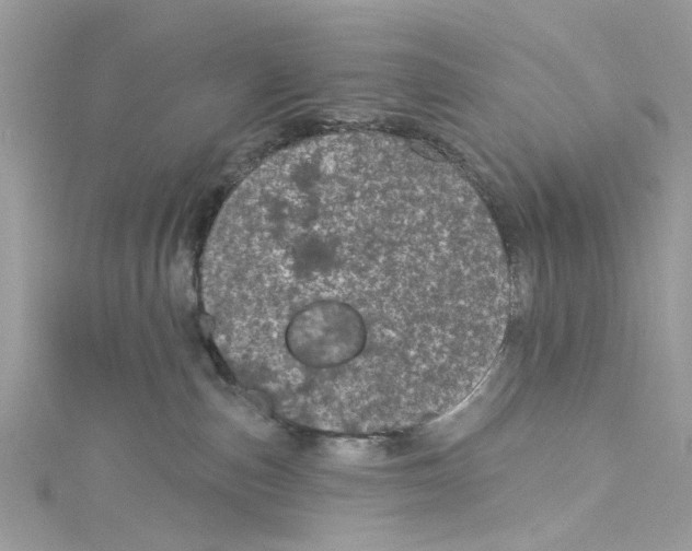 X0000115160187200911171309