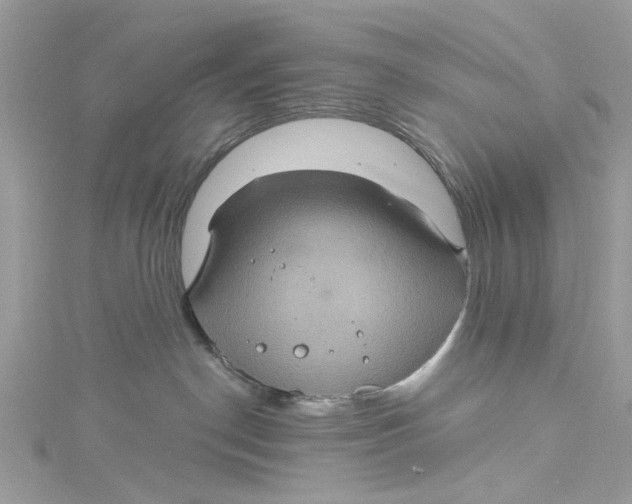 X0000115160190200911171309