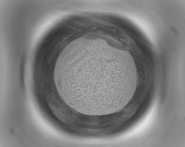 X0000115160191200911171309