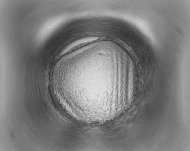 X0000115160194200911171308