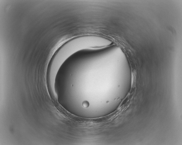 X0000115160195200911171308