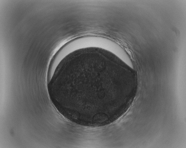 X0000115160196200911171308