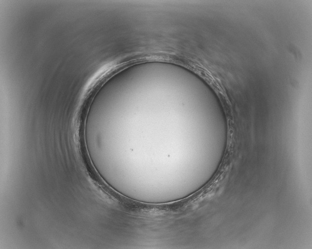 X0000115160197200911171308