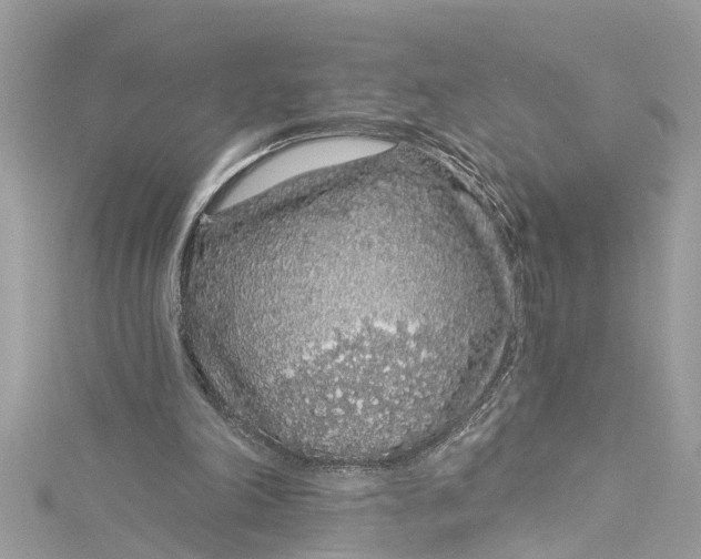 X0000115160198200911171308