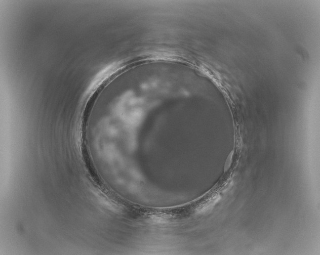 X0000115160199200911171308