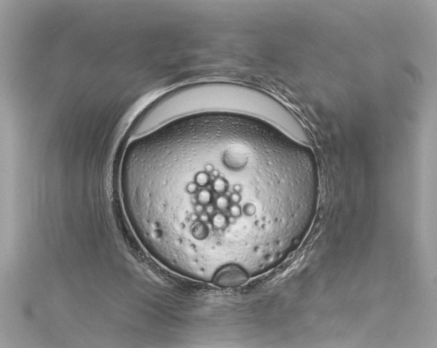 X0000115160200200911171308