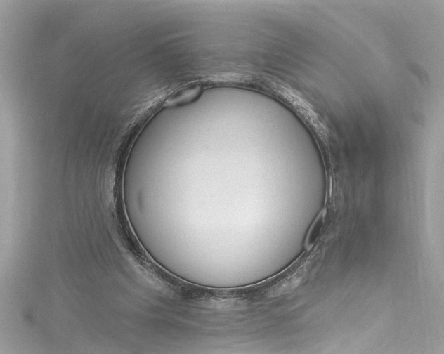 X0000115160201200911171308