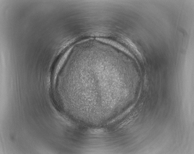 X0000115160202200911171308