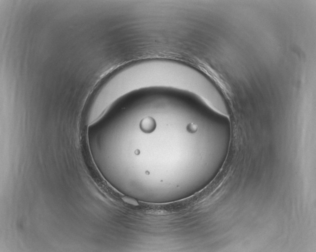 X0000115160203200911171308