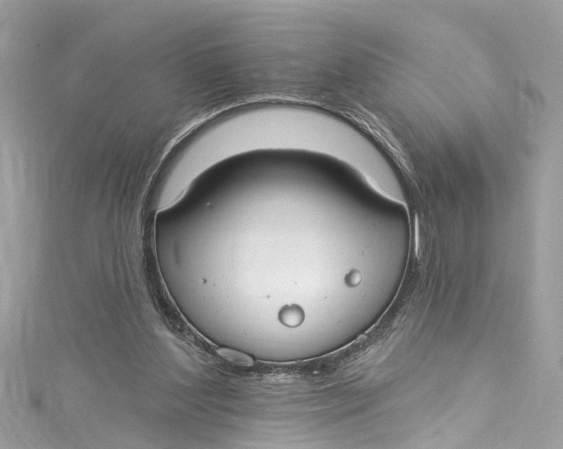 X0000115160204200911171308