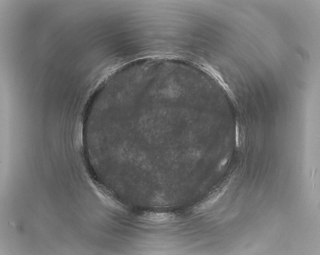 X0000115160205200911171308