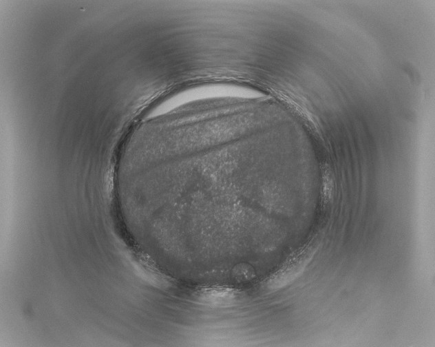 X0000115160206200911171308