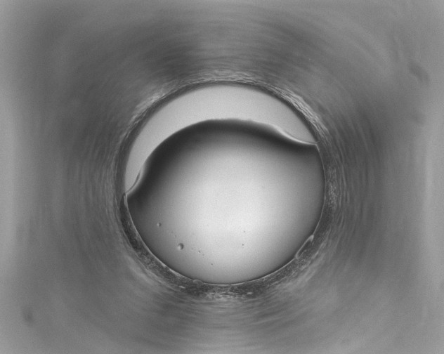 X0000115160207200911171308