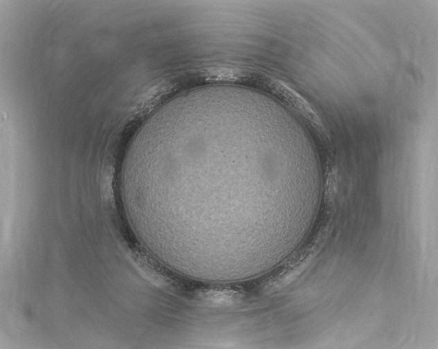 X0000115160209200911171308