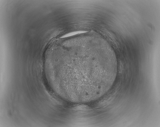 X0000115160210200911171308