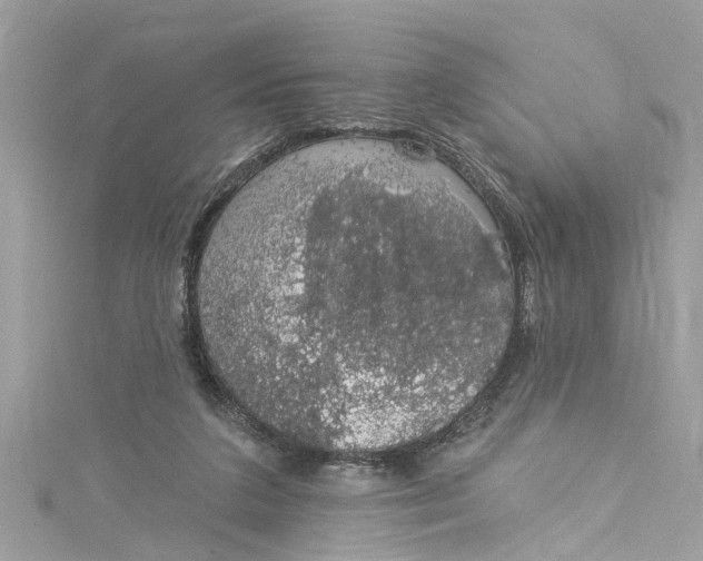 X0000115160211200911171308